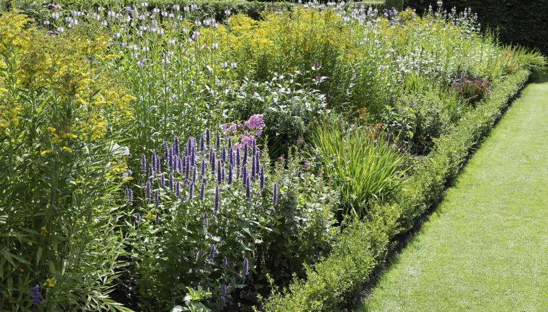 Beautiful Garden Designs