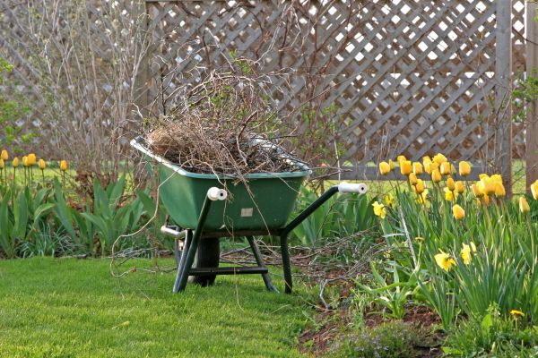 Flower Bed Cleanup Service in Abilene