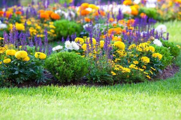 Flower Bed Maintenance in Abilene