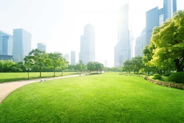 Commercial Landscape Maintenance in Abilene