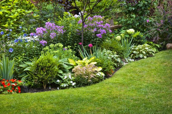 Flower Bed Service in Abilene