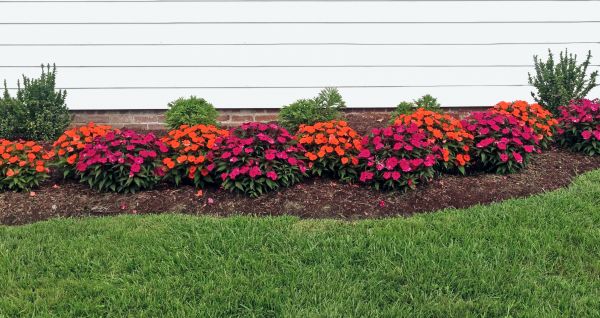 Flower Bed Weeding Service in Abilene