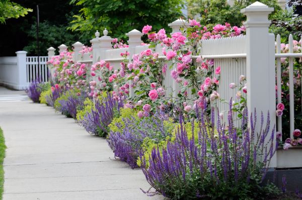 Garden Handyman Service in Abilene