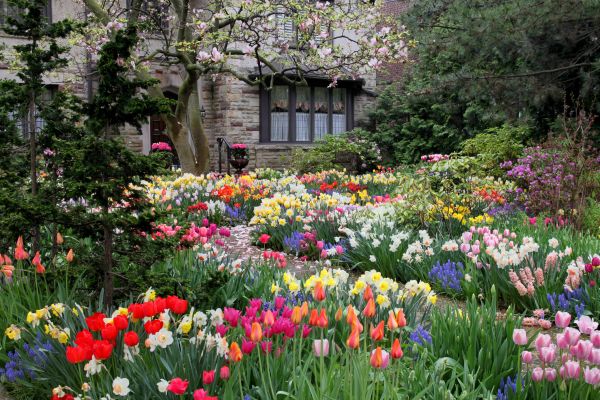 Garden Maintenance Service in Abilene