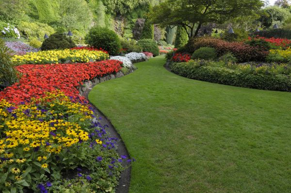 Landscaping Maintenance in Abilene