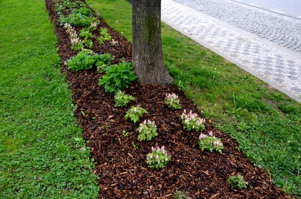 Mulch Replacement Service in Abilene