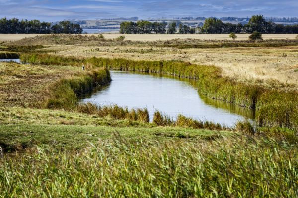 Swale Landscaping in Abilene