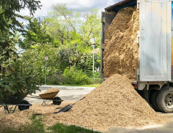 Wood Chips Delivery in Abilene