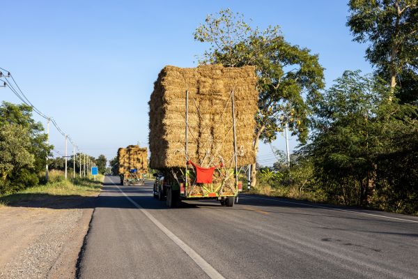 Pine Straw Delivery in Abilene