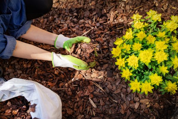 Garden Mulching in Abilene