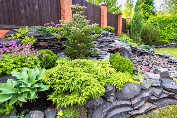 Landscape Remodeling in Abilene