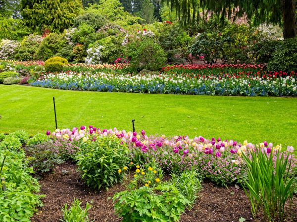 Residential Landscape Design in Abilene