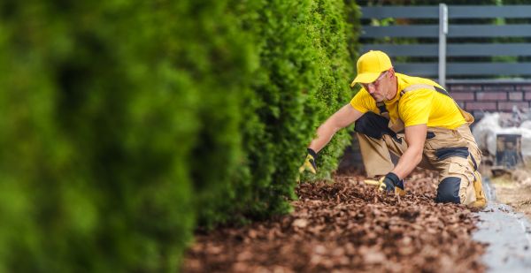 Cypress Mulch Installation in Abilene