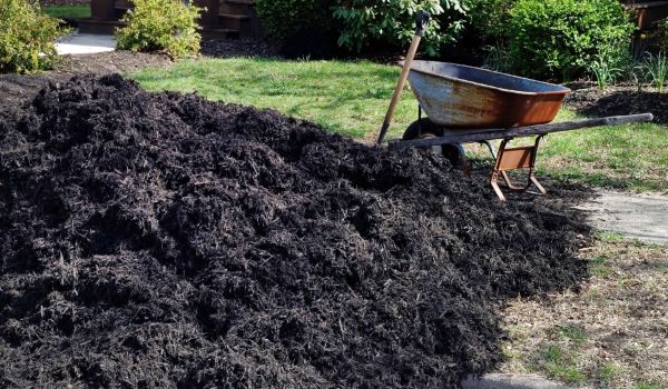 Black Mulch Installation in Abilene