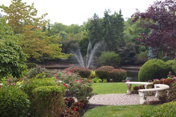 Courtyard Design Service in Abilene