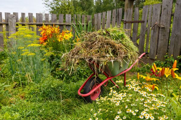 Garden Cleanup Service in Abilene