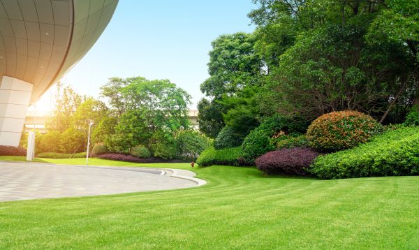 Business Landscape Design in Abilene