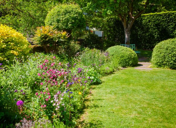 Yard Landscaping Service in Abilene
