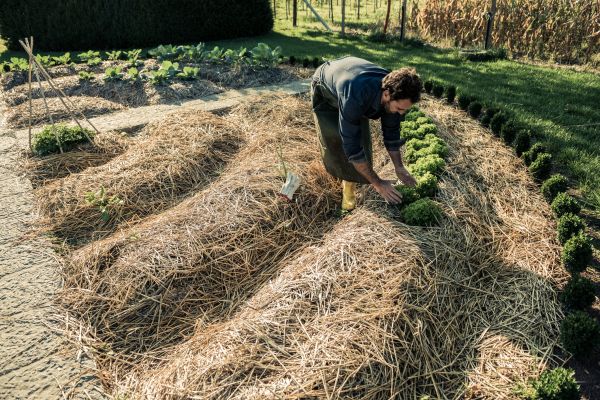 Straw Mulching Service in Abilene