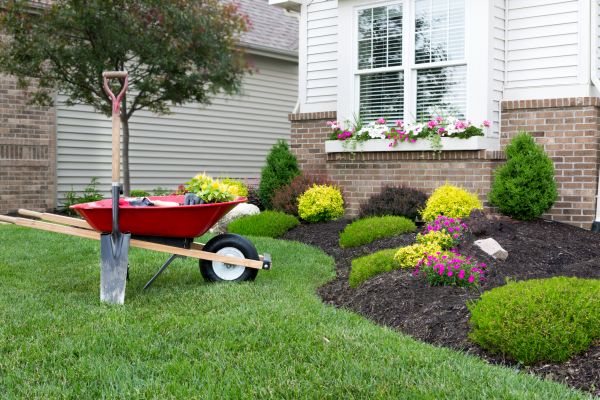 Tree And Shrub Planting in Abilene