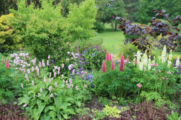 Flower Bed Planting in Abilene