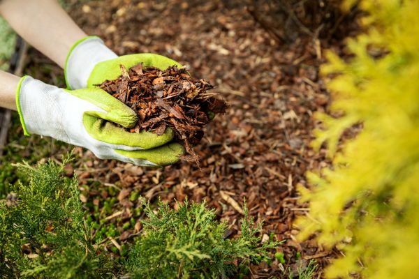 Garden Mulch Delivery in Abilene