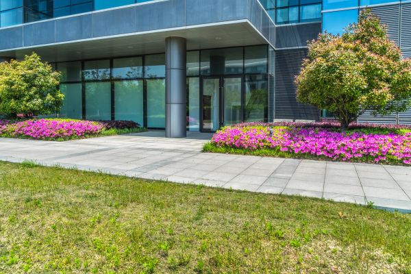 Commercial Gardening in Abilene