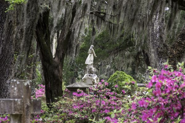 Cemetery Landscaping in Abilene