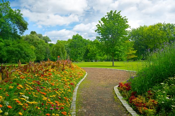 Park Landscaping in Abilene