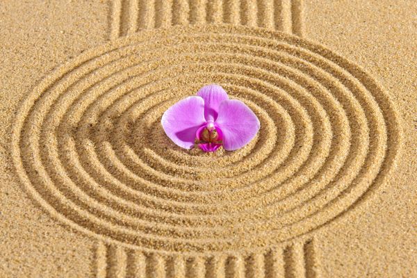 Sand Garden Landscaping in Abilene
