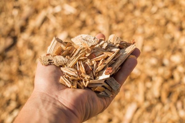 Wood Chips Spreading in Abilene