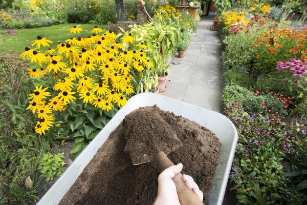 Topsoil Replacement in Abilene