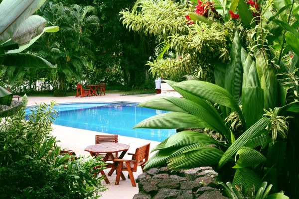 Pool Area Landscaping in Abilene