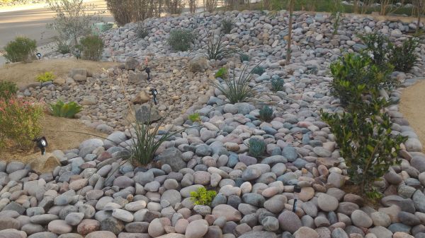 Yard Xeriscaping in Abilene