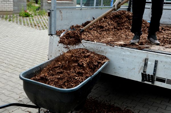 Cedar Mulch Delivery in Abilene