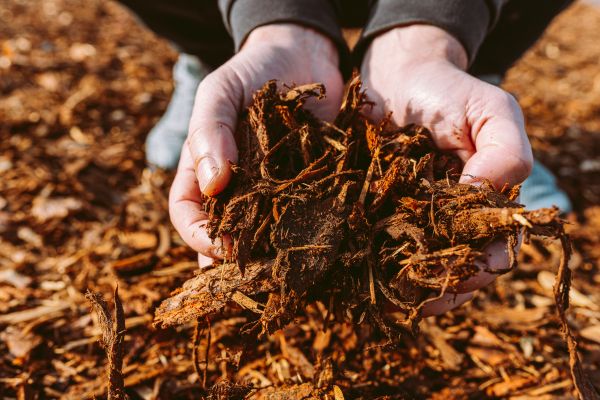 Bark Chips Delivery in Abilene