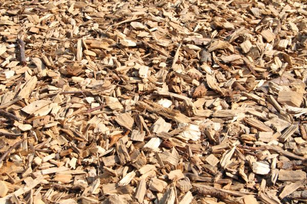 Wood Mulch Delivery in Abilene