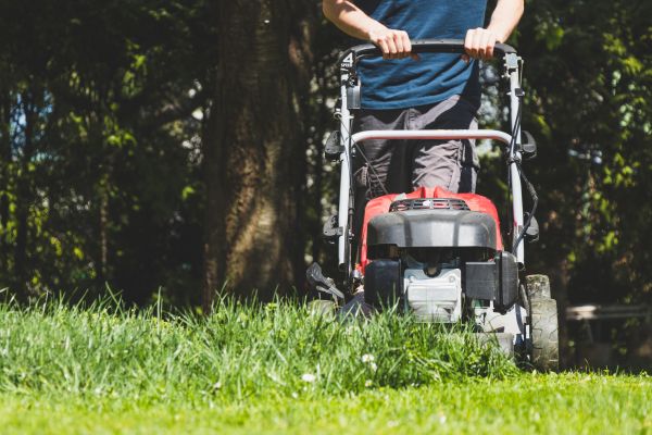 Garden Trimming Service in Abilene