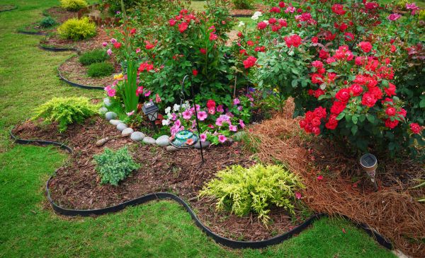 Floral Landscaping in Abilene