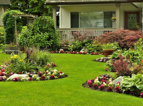Flower Garden Planting in Abilene