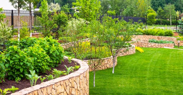 Yard Makeover Service in Abilene