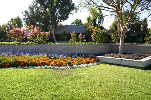 Commercial Landscape Service in Abilene