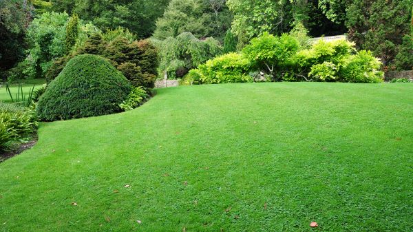Commercial Landscape Design in Abilene