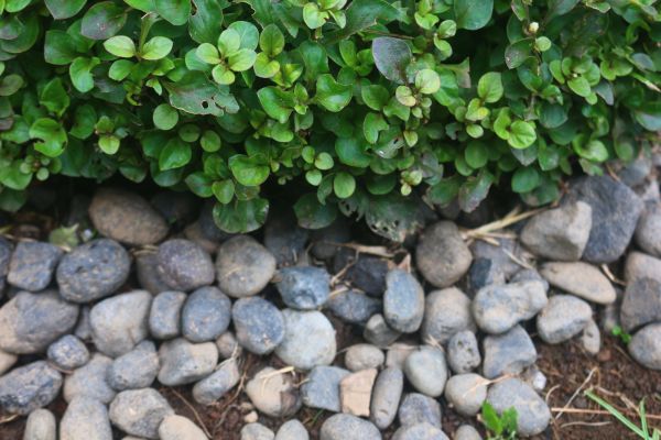 River Stone Installation in Abilene
