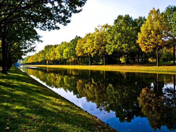 Bank Landscaping in Abilene