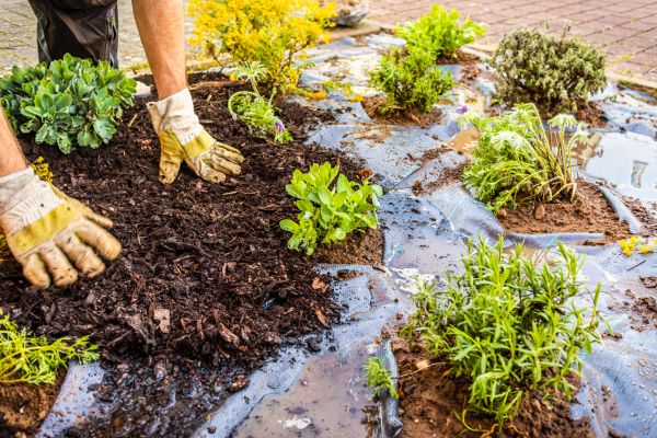 Mulch Fabric Installation in Abilene