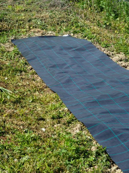 Weed Suppressant Installation in Abilene