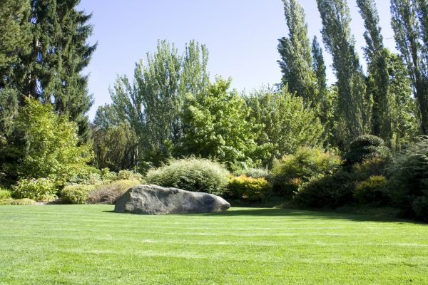 Yard Enlargement in Abilene