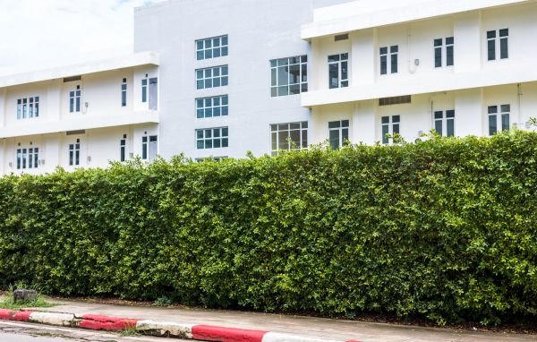 Privacy Landscaping in Abilene