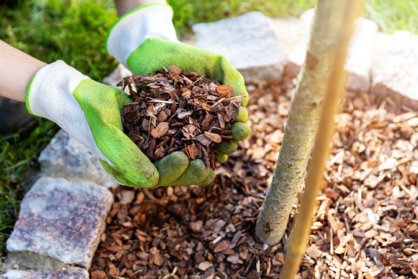 Tree Bark Delivery in Abilene